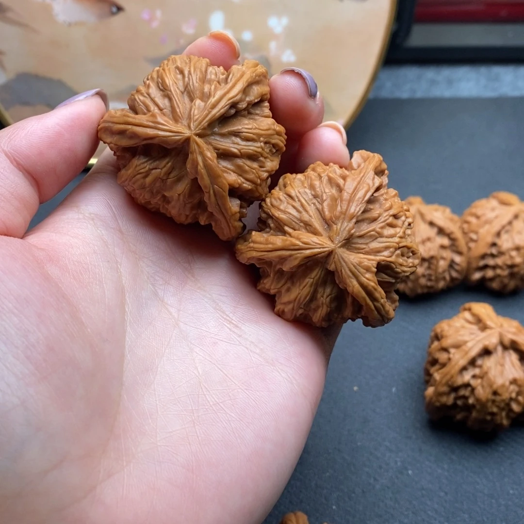 乐***0 白狮子凄凄切切凄凄切切去