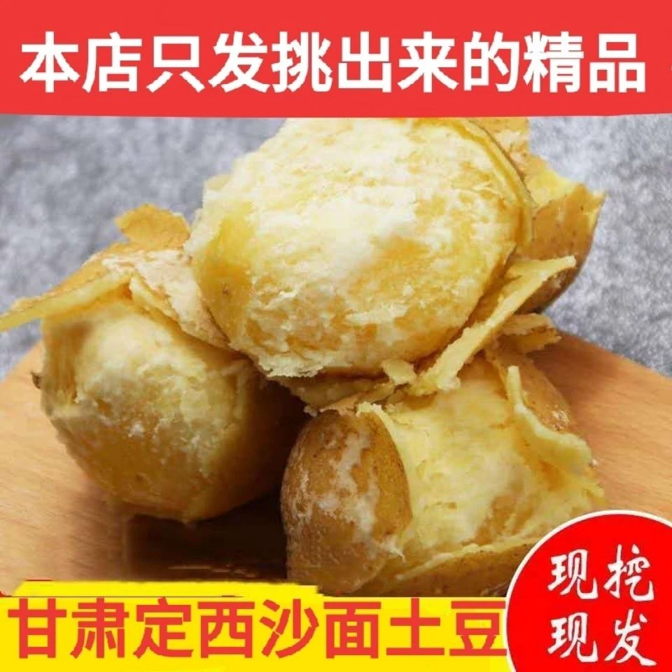 甘肃定西高山沙地新鲜黄皮黄心土豆现挖现发沙糯粉面坏果烂果包赔