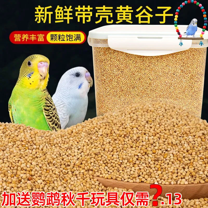 小米主食专用粮食鸟粮带壳小米鹦鹉鸟粮带壳新黄谷子小鸟饲料