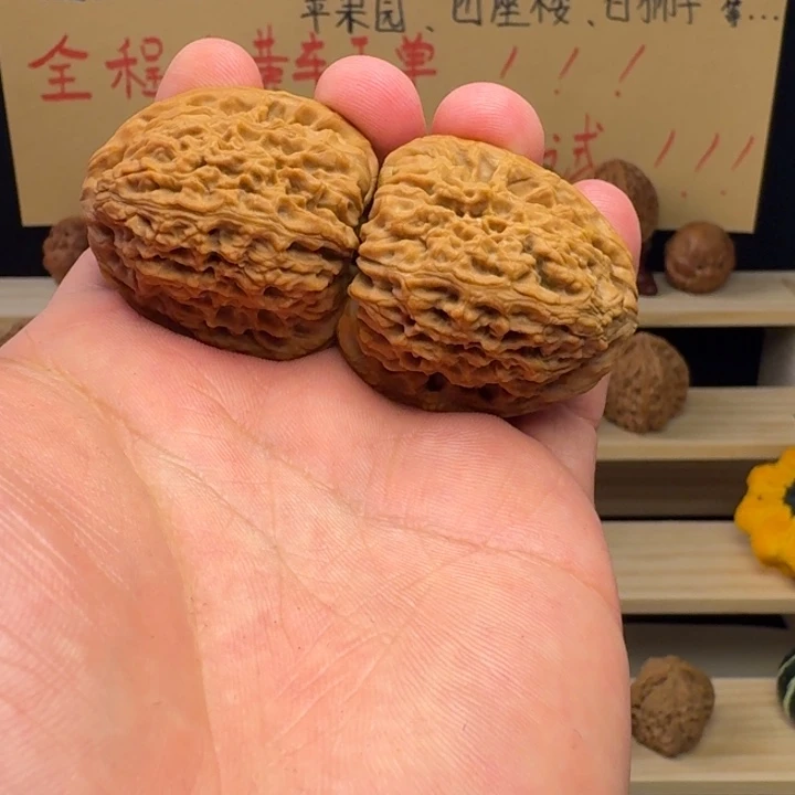 高炮南疆石11111111