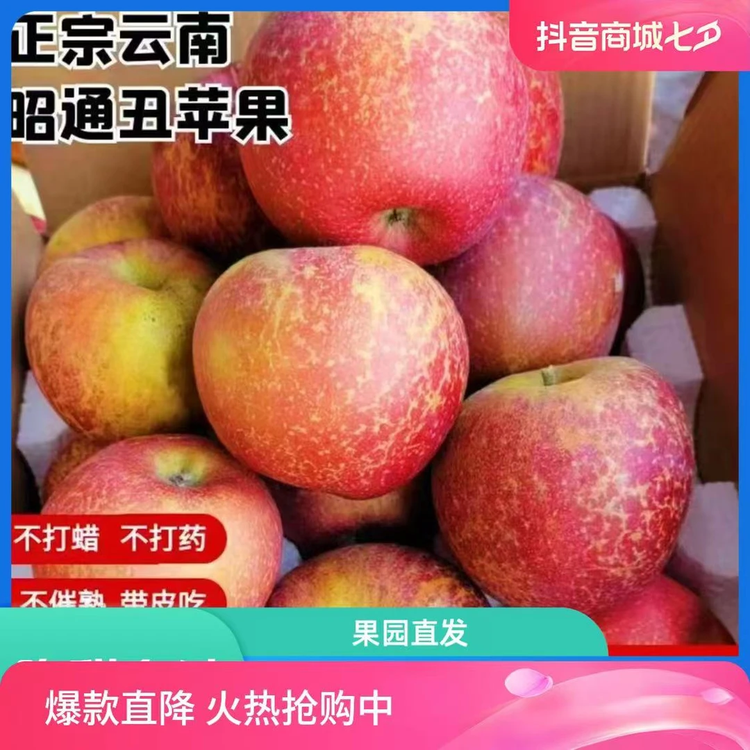 正宗原生态云南昭通早熟冰糖心苹果脆甜多汁新鲜采摘5/10斤包邮