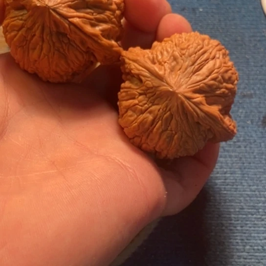 吊坠桃核全品泥鳅47