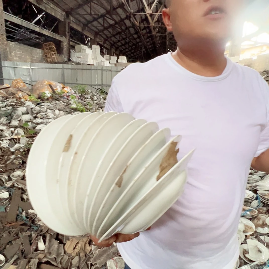 瓷片景德镇陶瓷老白胎8寸草帽盘10只