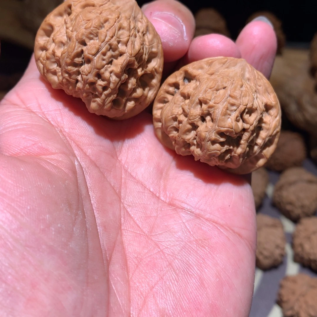 把件桃核龙洞玉41全品