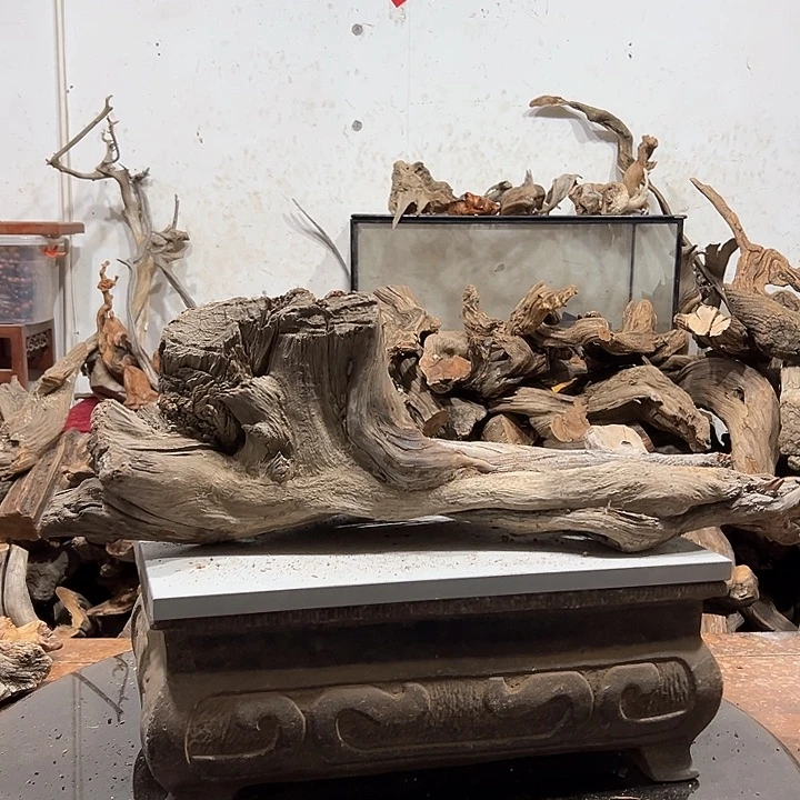 柏木乔*我们的生活也是如此的