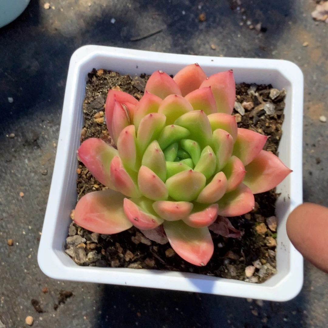 清楚明白你自己在哪