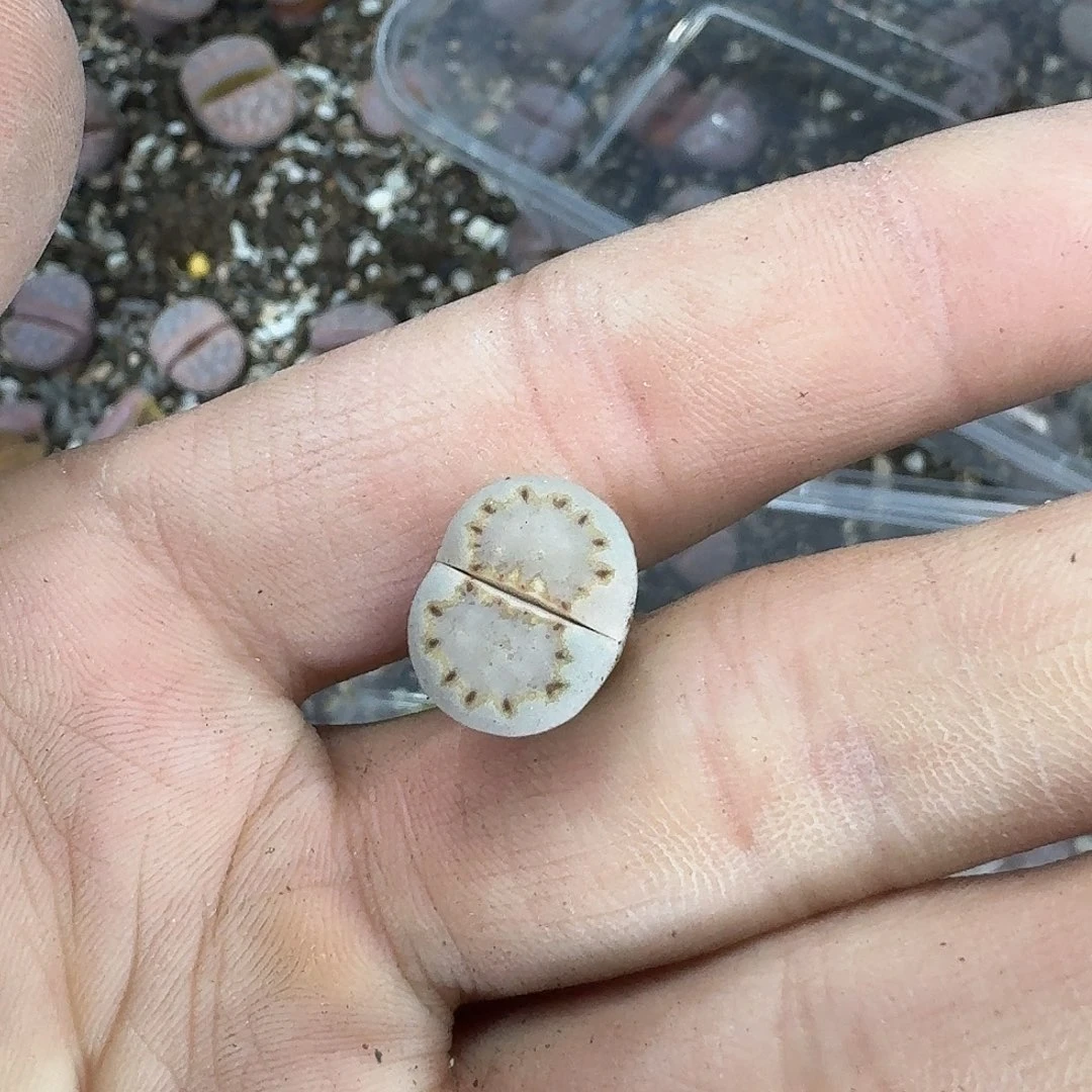 甜***圈923 哈哈哈哈哈哈哈哈哈