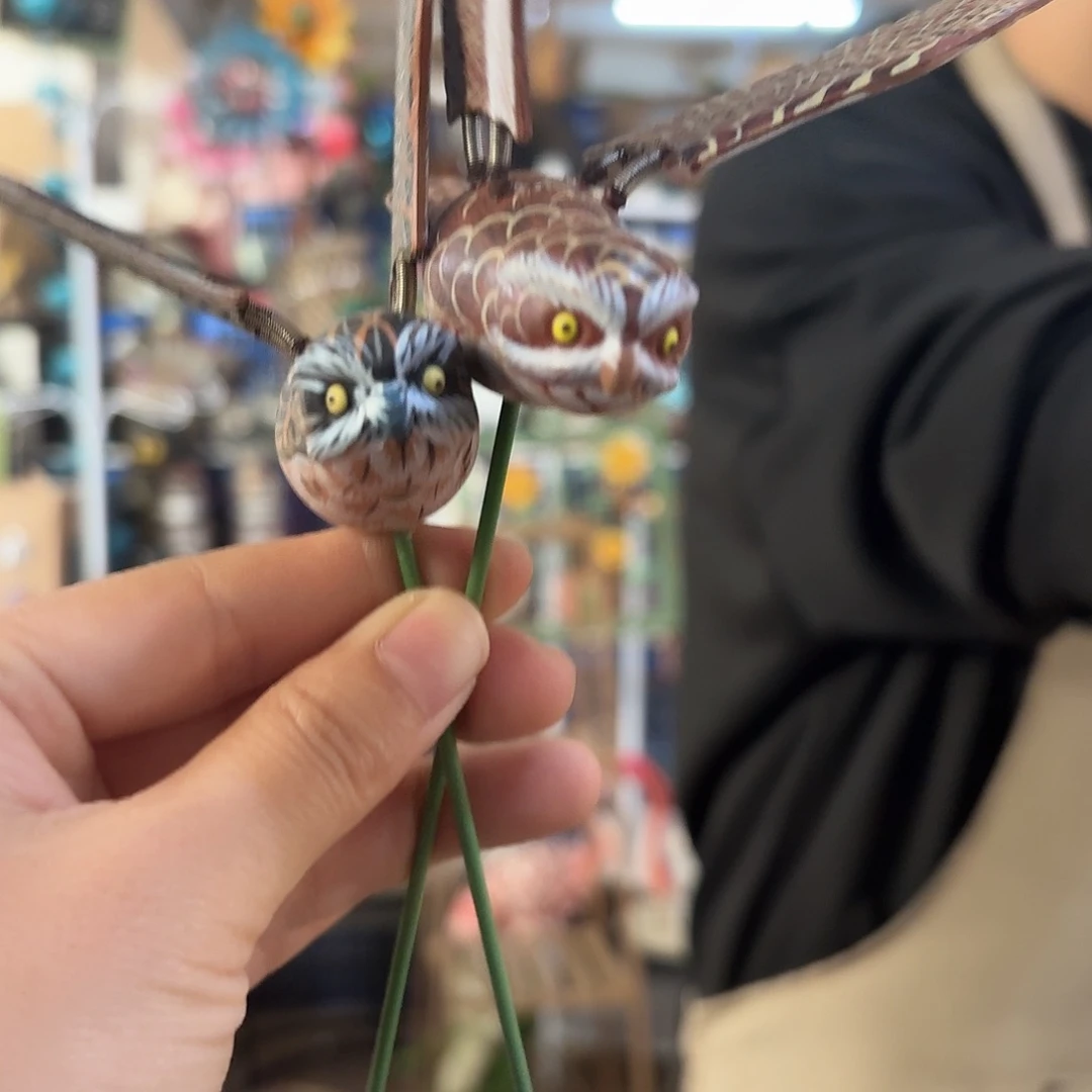 核桃木/黑胡桃（胡桃木）