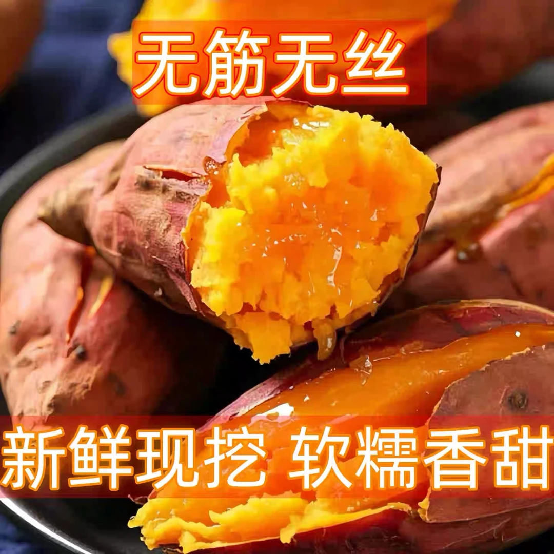 新鲜现挖西瓜红蜜薯软糯香甜糖心河南沙地地瓜山芋农家自种红薯