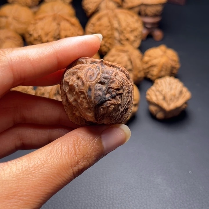 T*M小蛇核桃哈哈哈哈哈哈哈哈哈哈