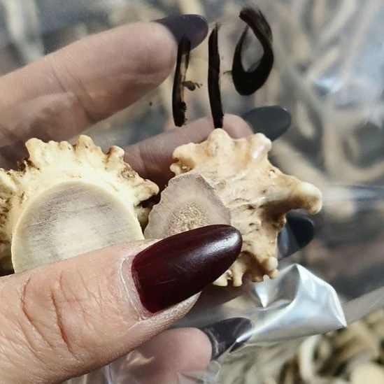 二***峰鹿角鹿角鹿角鹿角鹿角鹿角