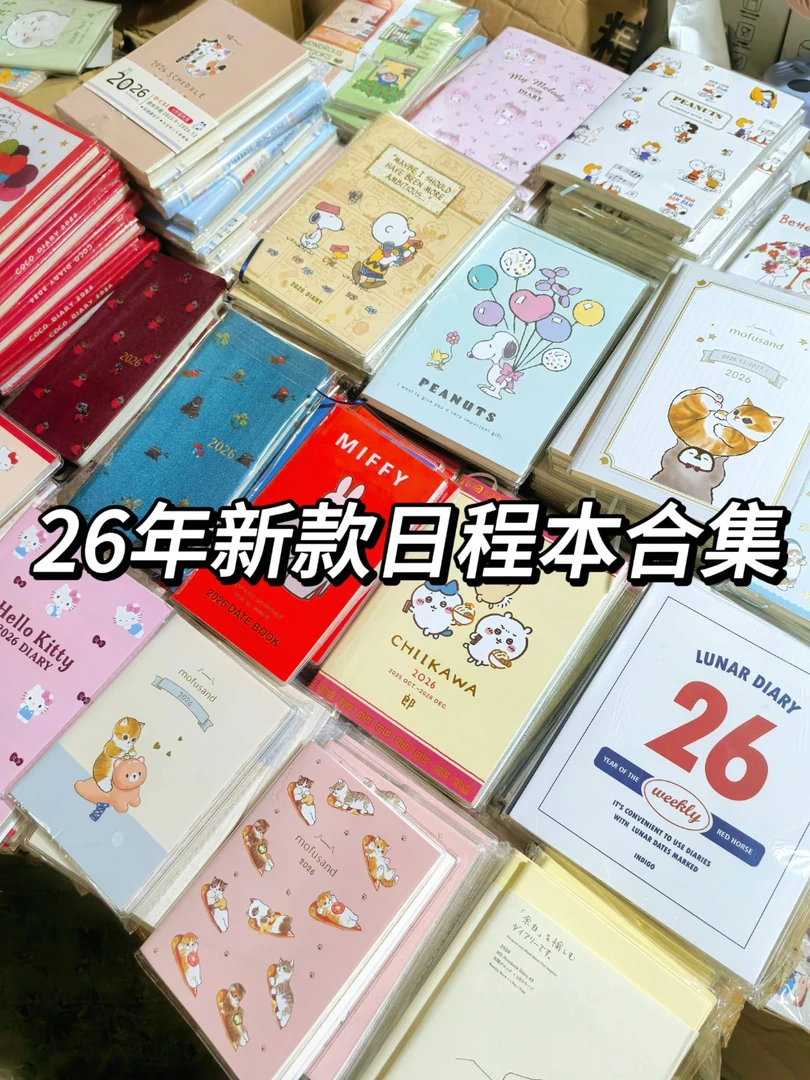 2026新款日程本合集日系彩页笔记本摘抄计划日记本子手账本