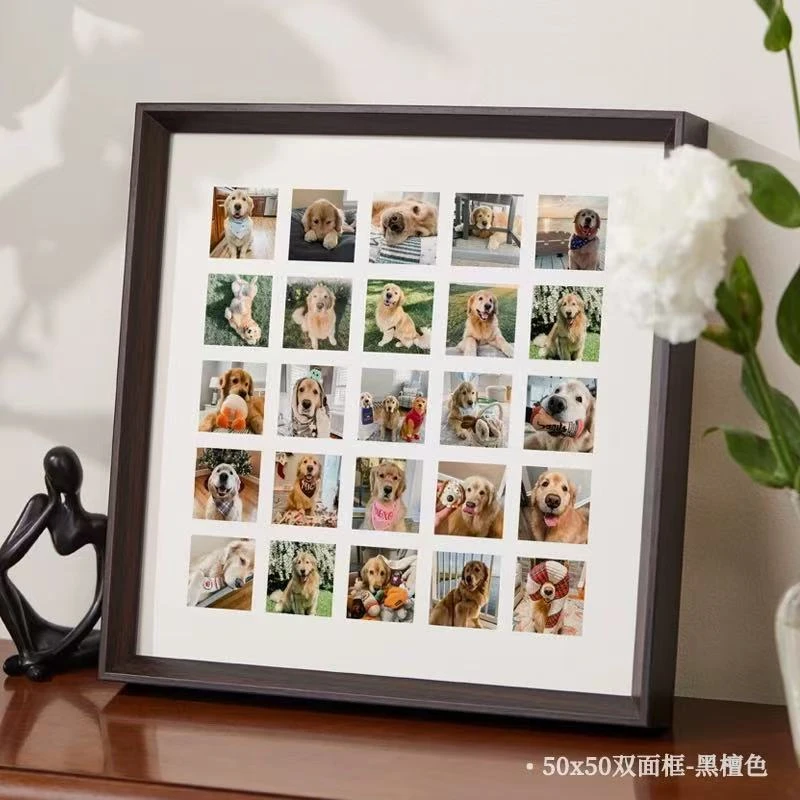 阿允宠物相册定制版