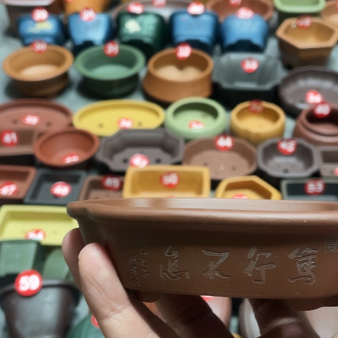 紫砂小盆11.5*10*2.5