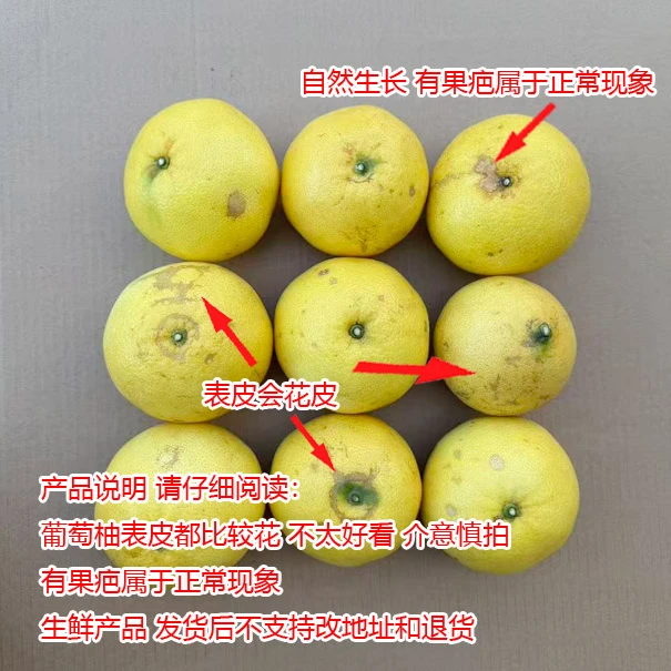 【中通】福建平和葡萄柚纯甜口最适合榨汁水果 表皮比较花 介意慎拍