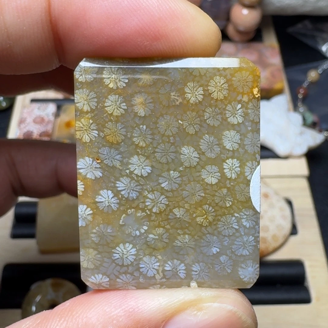 硅化玉未镶嵌纯天然色有机玉石保真色