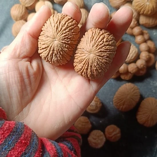 爱***毛核桃手串/手链元宝手把件39