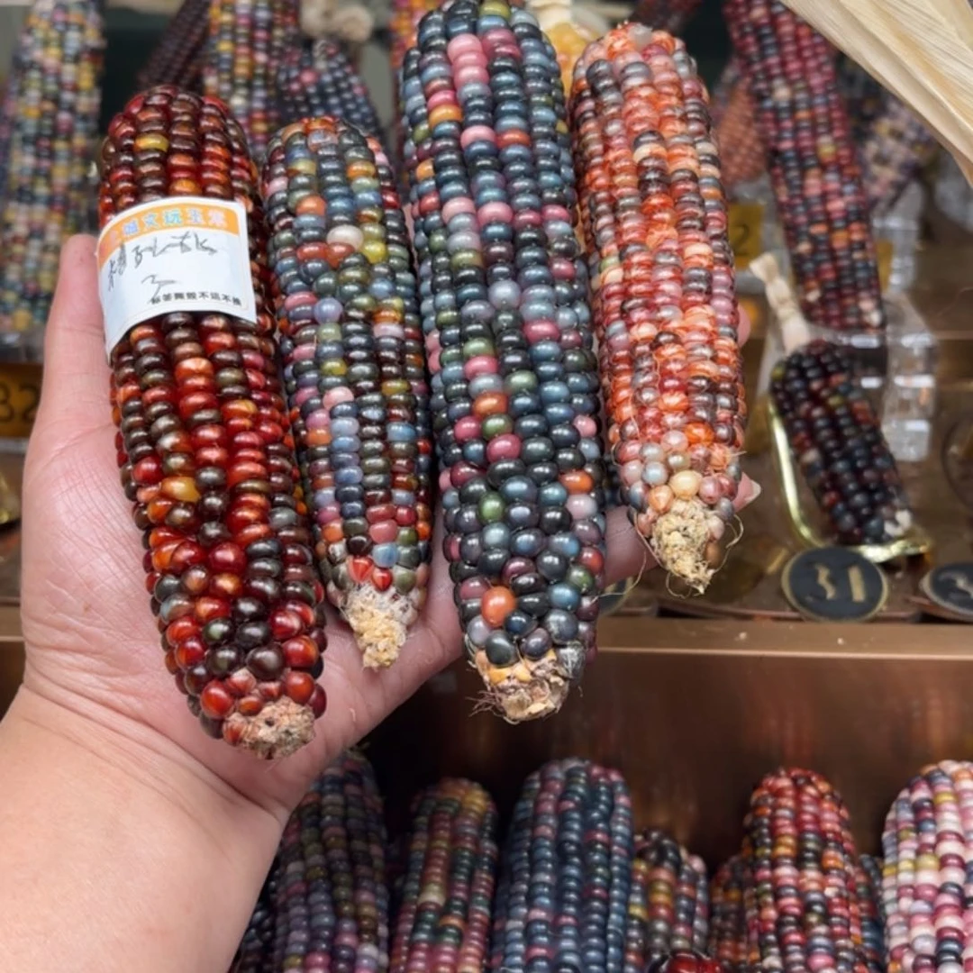 柏香籽/百香籽吊坠桔****