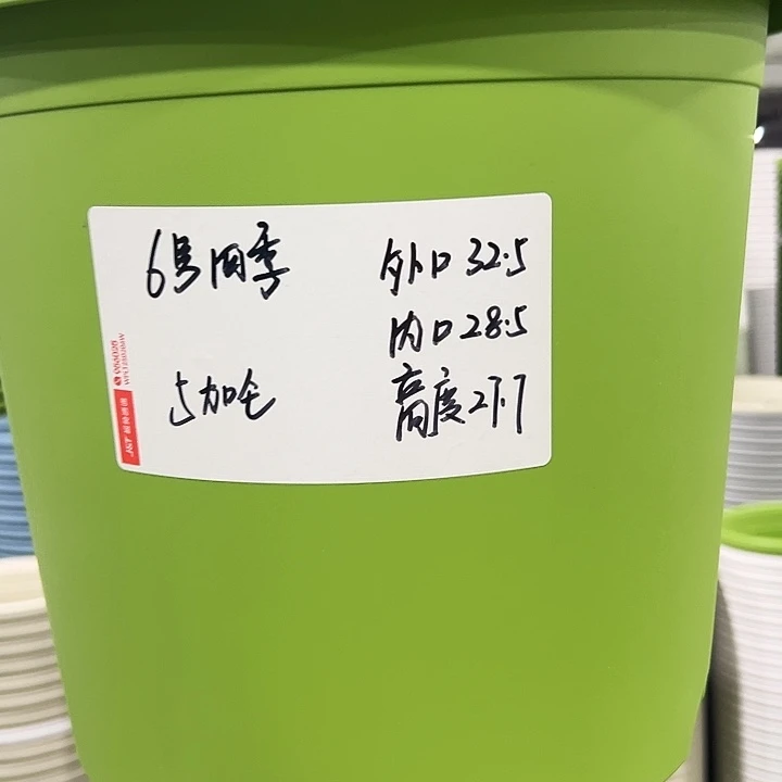 特价6号四季口32高28白色7个无托