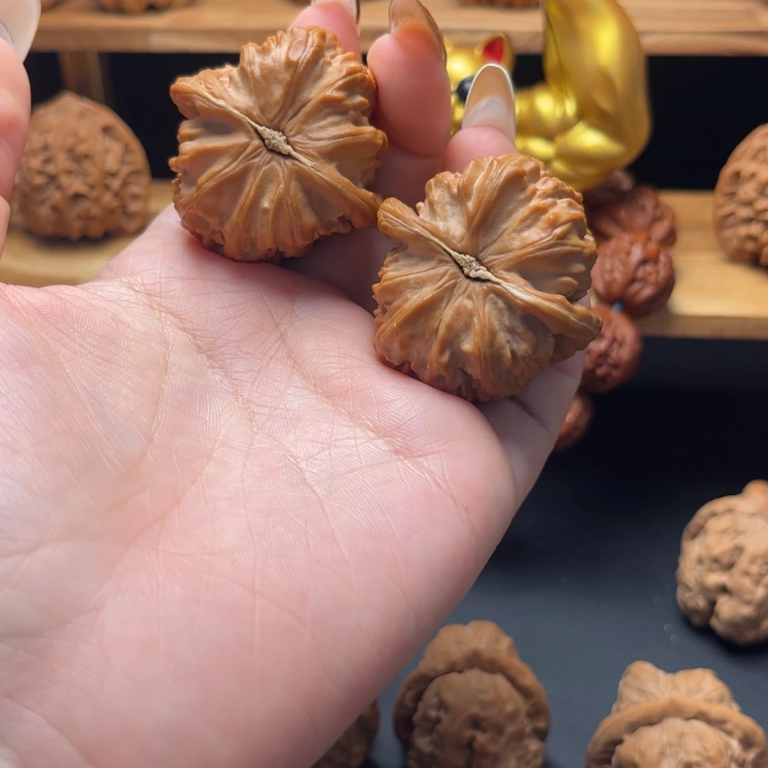 好****文玩核桃把件白狮子40全