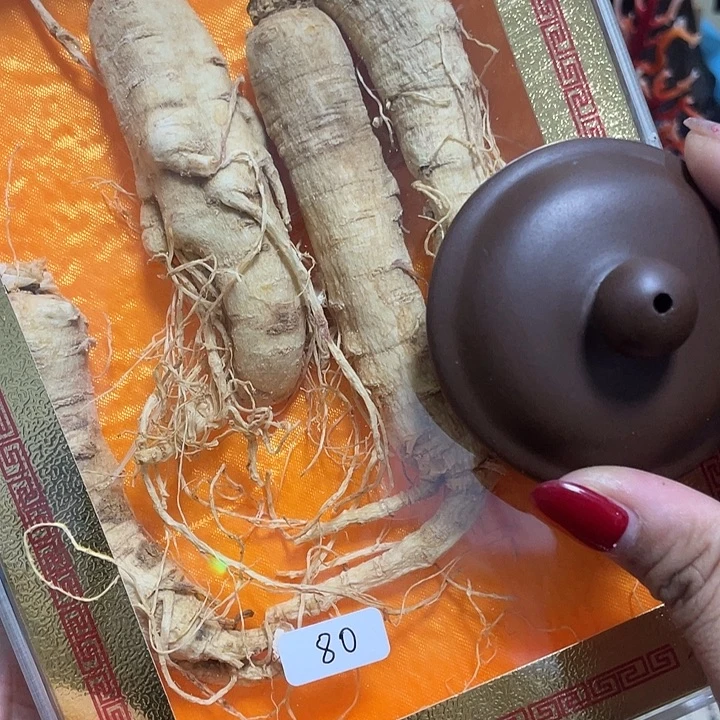 蜡蜡咯摸摸摸摸的