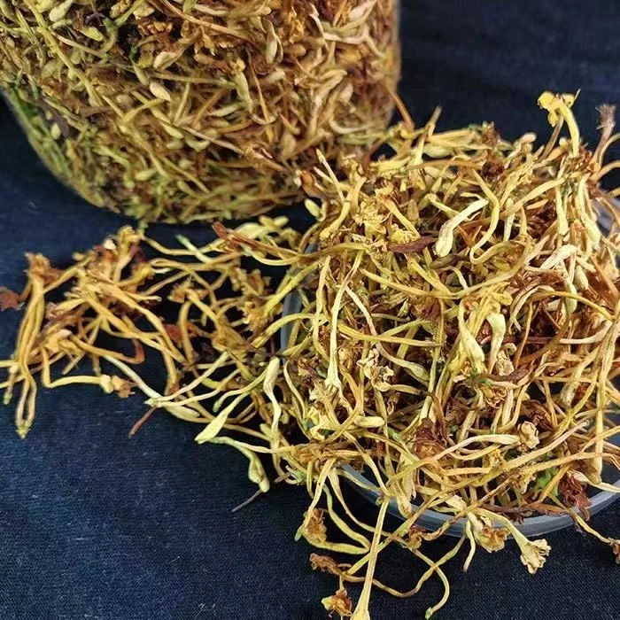 云南深山-野生金银花