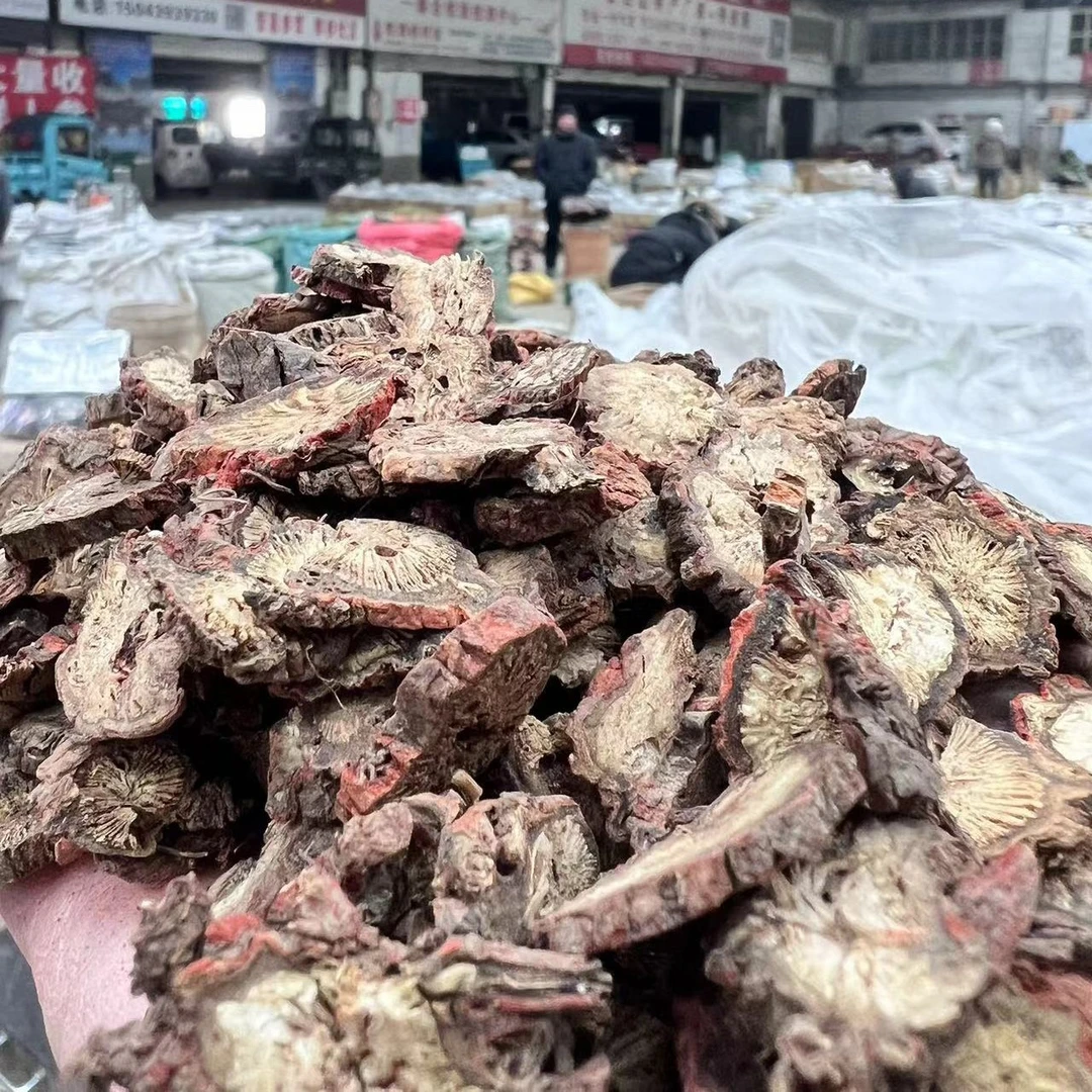 （原产地）长白山紫皮丹参