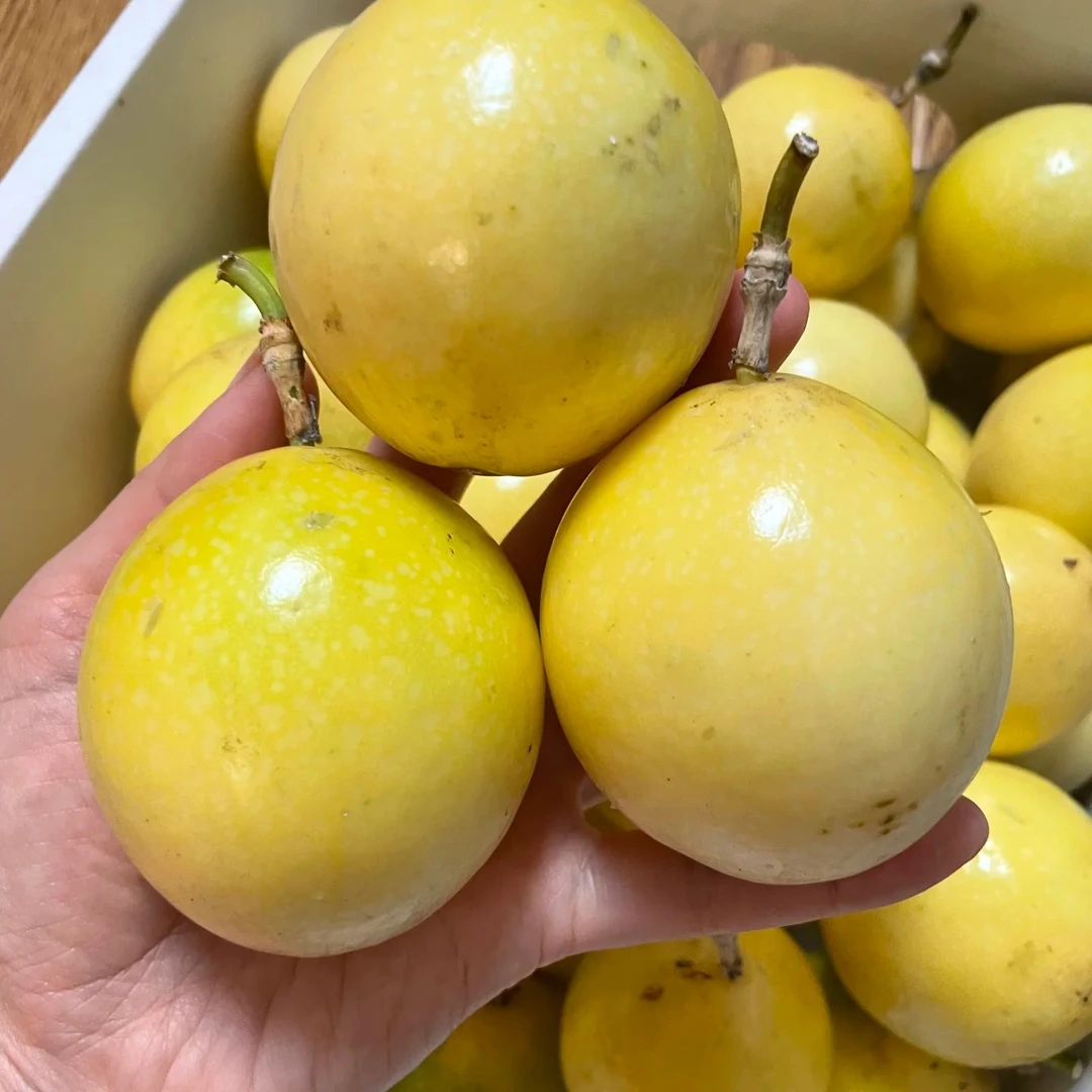 饮蜜百香果9.9元8个