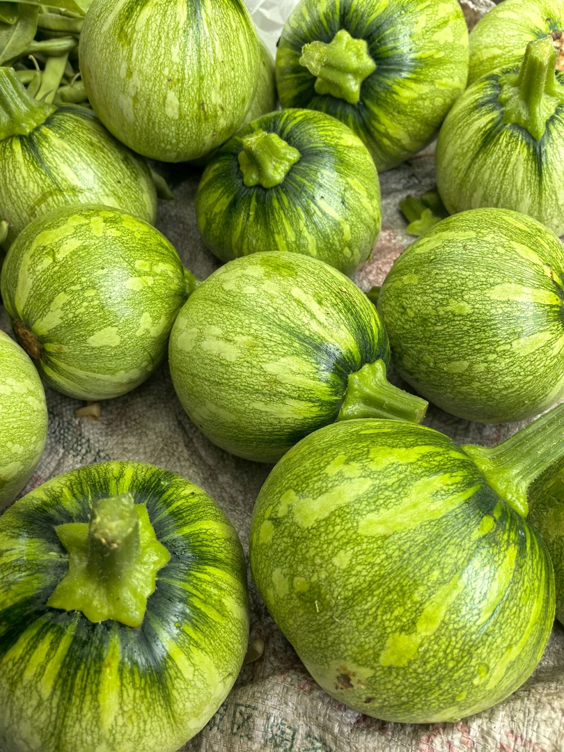 南瓜农家新鲜南瓜现拍现摘时令蔬菜嫩南瓜