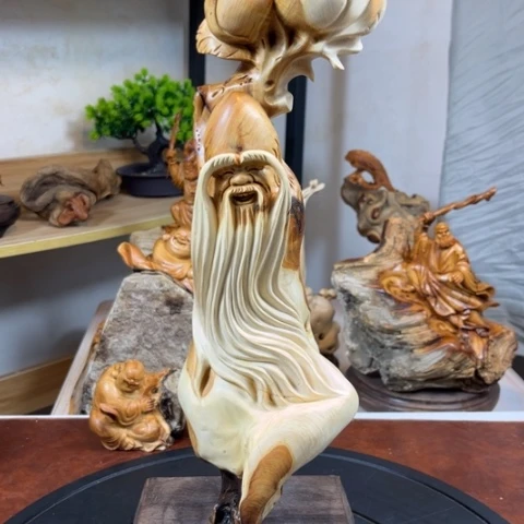 柏木（崖柏）v v bv b b n b n n