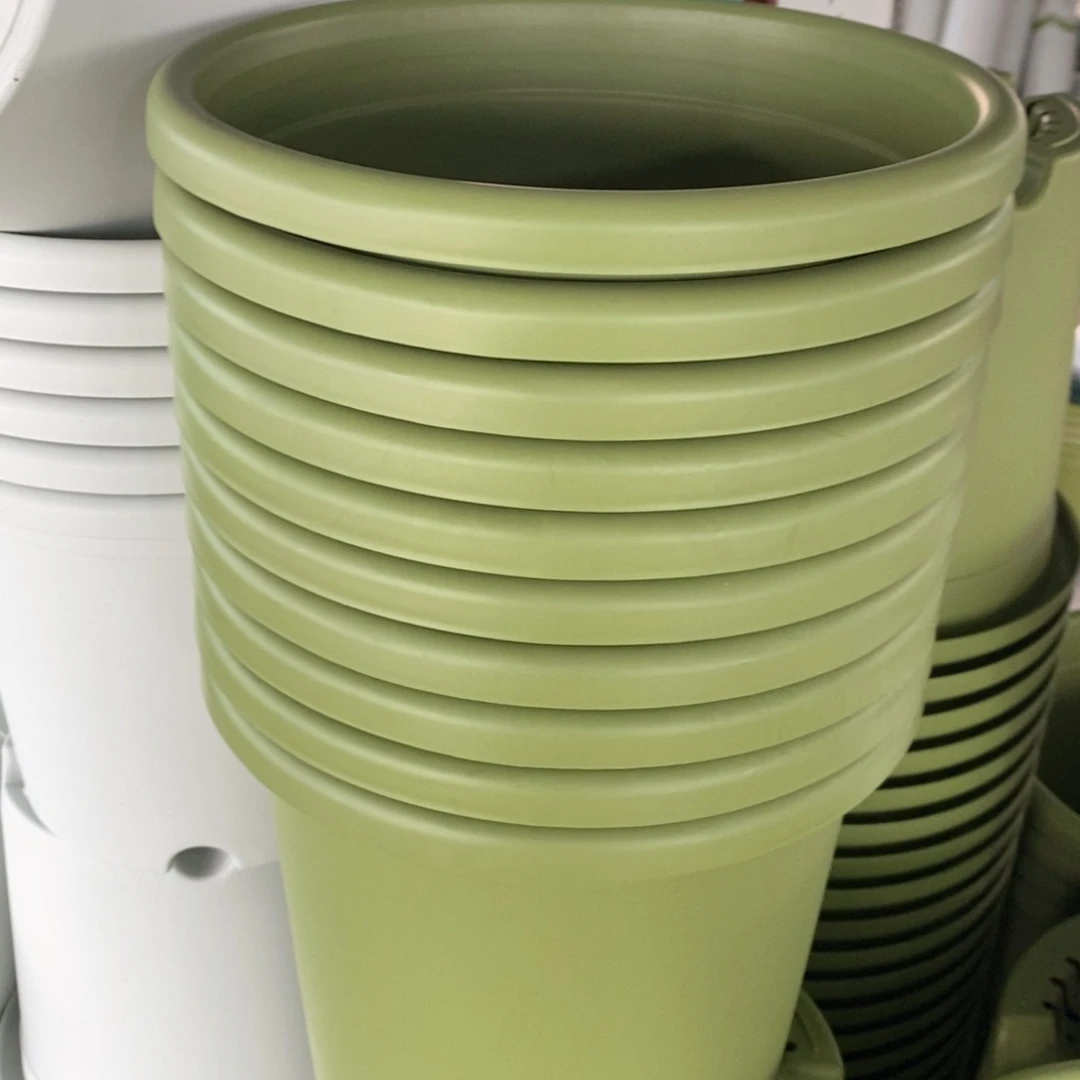 树脂10个25口果绿无托