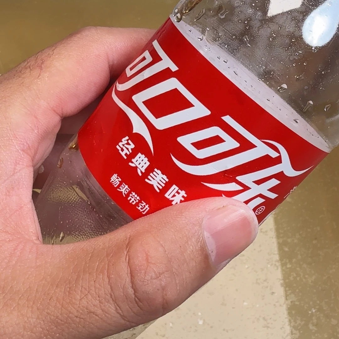 母绿毛龟66666666666666666
