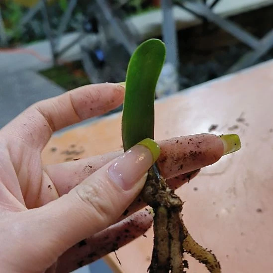 完全开放TMD摸摸同