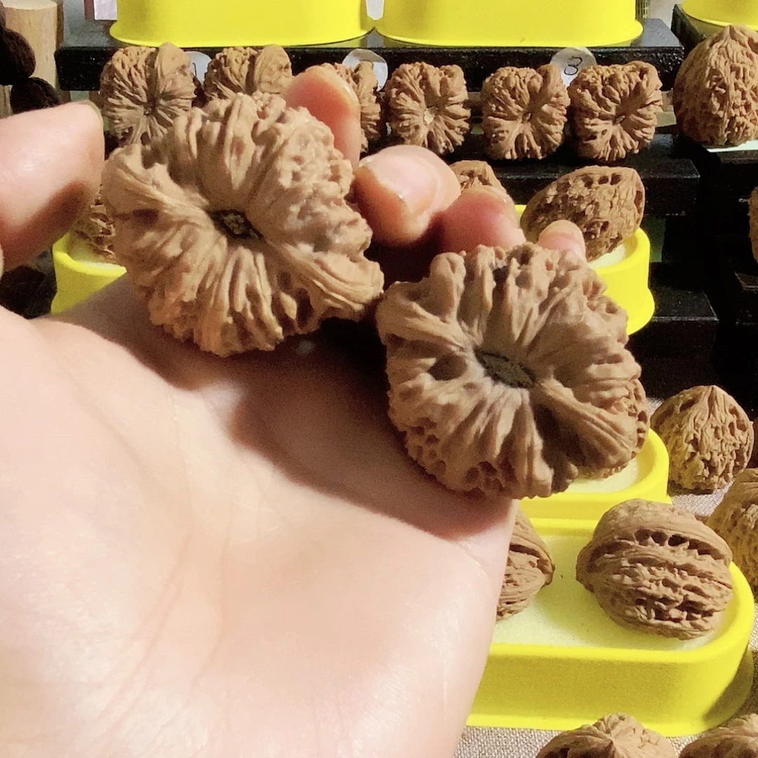 木质类今天是不是又要
