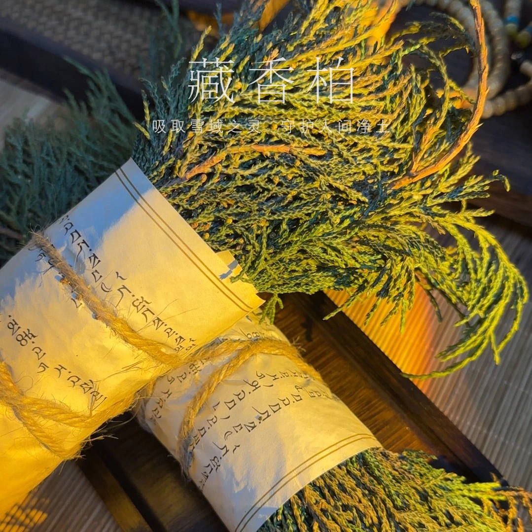 高原天然藏柏叶藏香柏净化空气家居除味放松冥想熏香