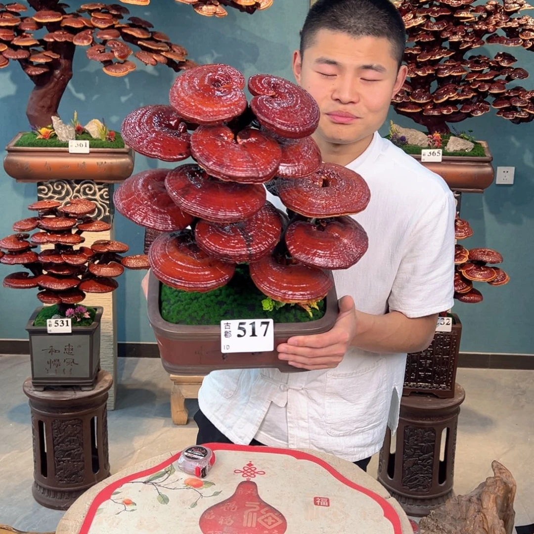 无花朵888888888888