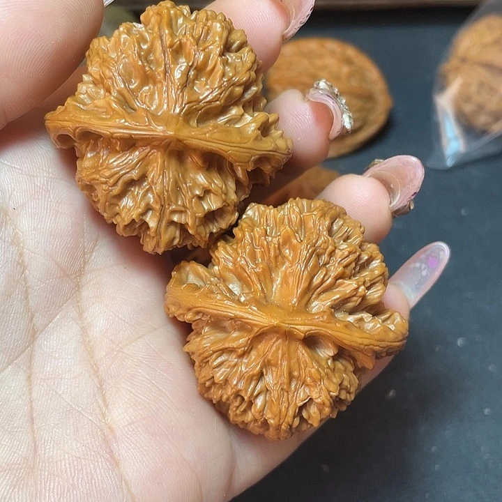 霸王花46