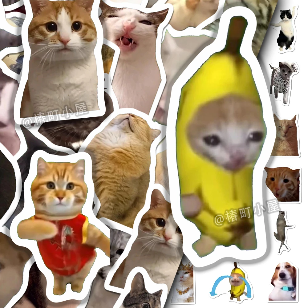 101张不重复防水网红猫咪贴纸手账ins表情包创意卡通搞笑沙雕趣味