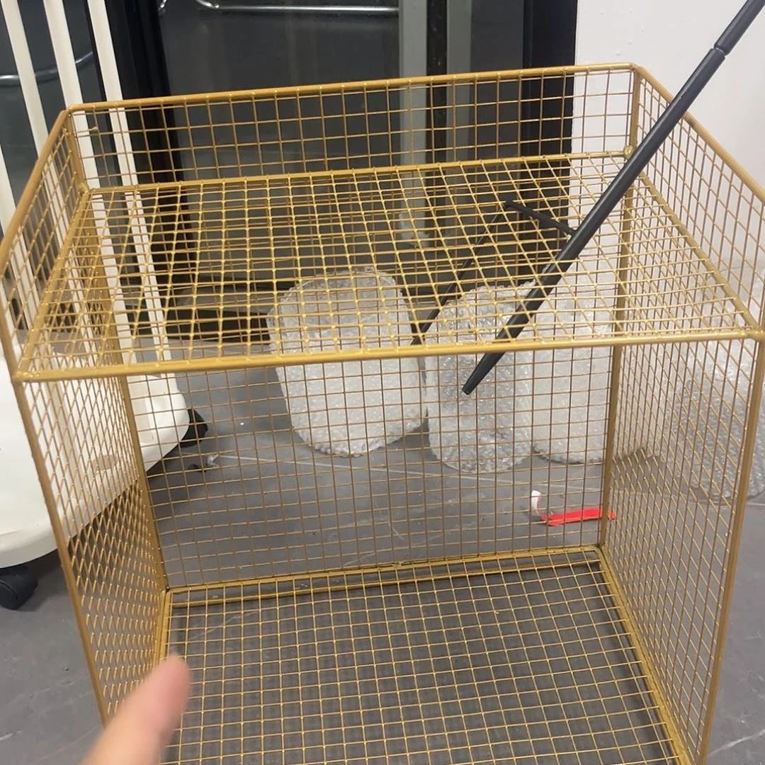 炸炸炸炸炸炸炸炸炸给力
