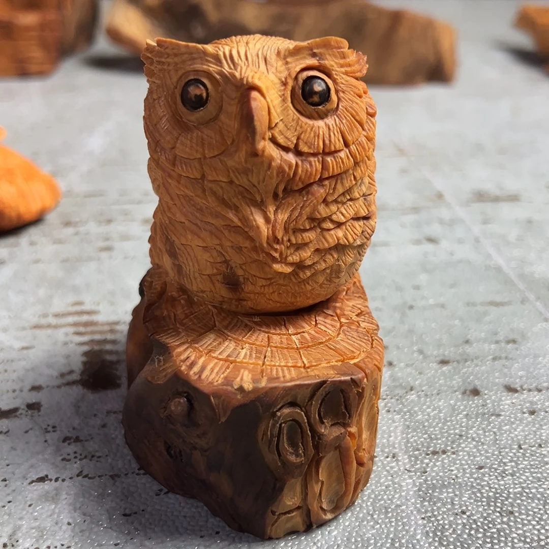 柏木（崖柏）太行崖柏