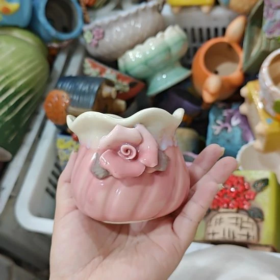 当场拍满15元包邮发货，金额不够发泡沫不发花盆，不凑单真亏钱请别