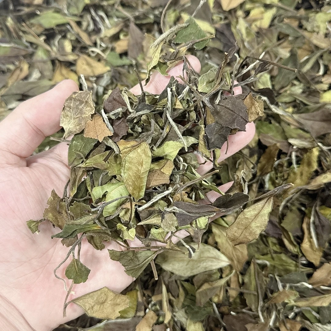 【云仓专属】老白茶 2018年福鼎老白茶