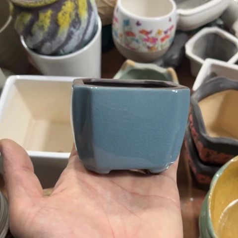 ［所有订单凑满15包邮］7+6