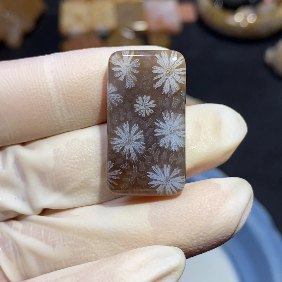 【闪购商品】硅化玉珊瑚玉未镶嵌