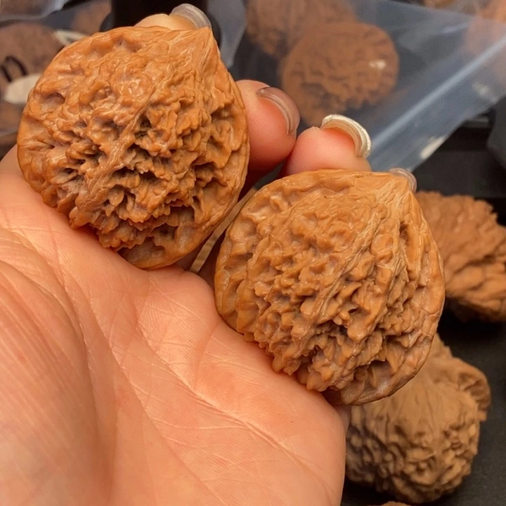 ****得把件文玩核桃满天星