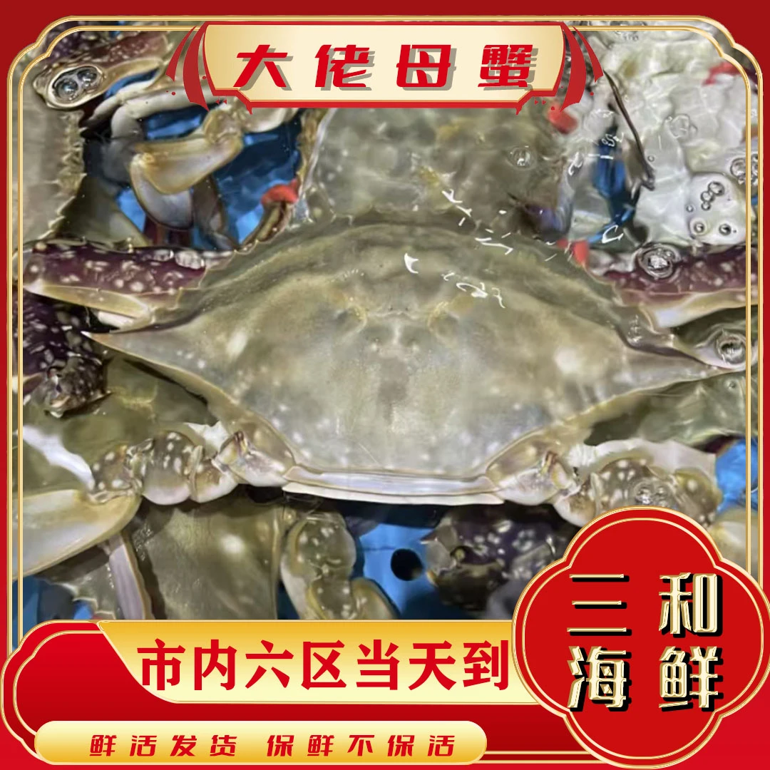 【保鲜不保活】本地断氧母蟹 每斤4-5只每只2-3两以上 当日发