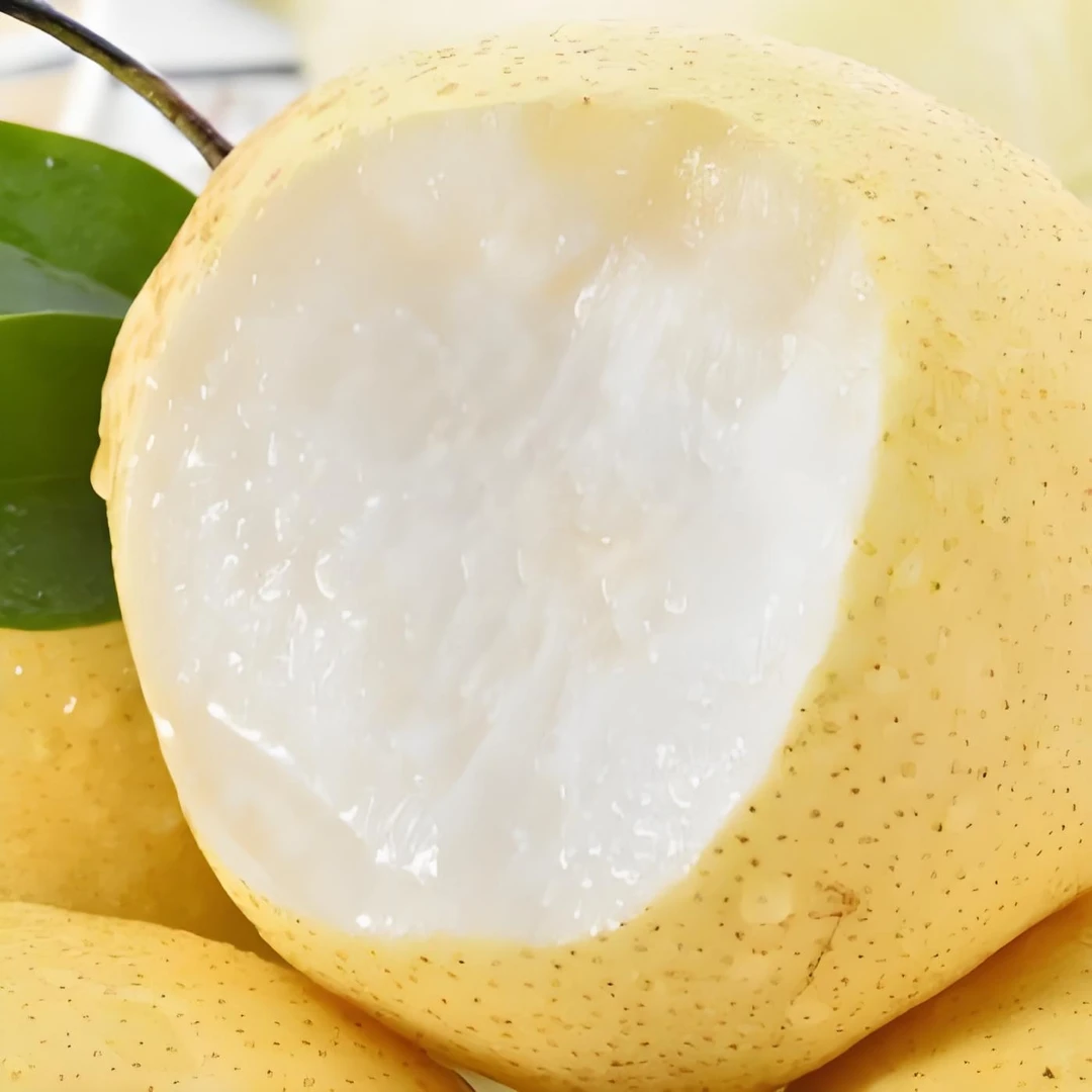 山西平遥蜜梨  3斤