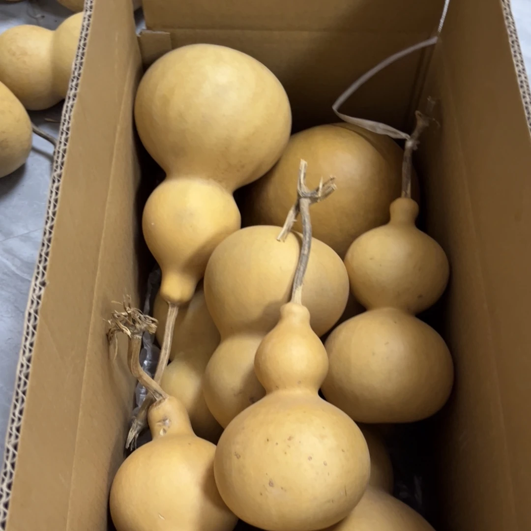 莫***卡有机玻璃葫芦葫芦