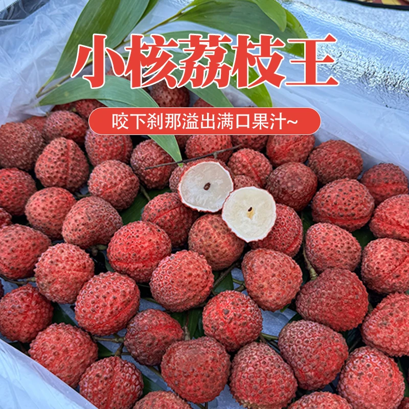 【坏果包赔】广东小核荔枝王荔枝  一件净重 4.5斤