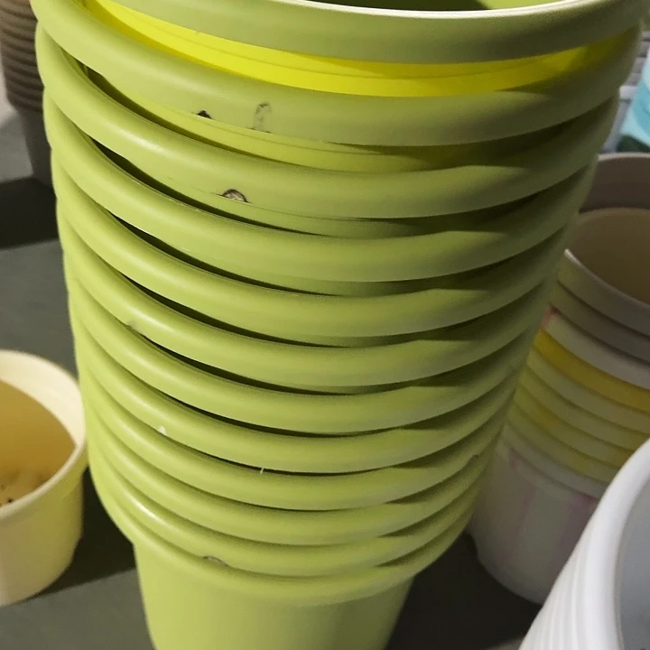 瑕疵6#口径32果绿7个无托